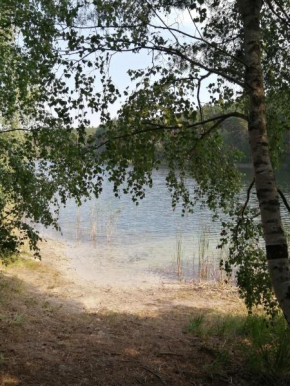 Ferienhäuser Golinski mit Kamin und umzäutem Grundstück am Neuendorfer See